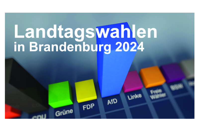 Banner Landtagswahlen Brandenburg AdobeStock